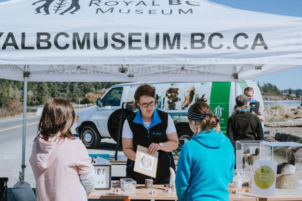 A museum staff member standing under a Royal BC Museum-branded outdoor tent. She is showing a diagram to two youth visitors facing away from the camera. On the table separating them are several animal specimens in containers. In the background is a van printed with Royal BC Museum-branded logos and specimens in jars. It is parked in front of a beach and a forest is visible in the background.