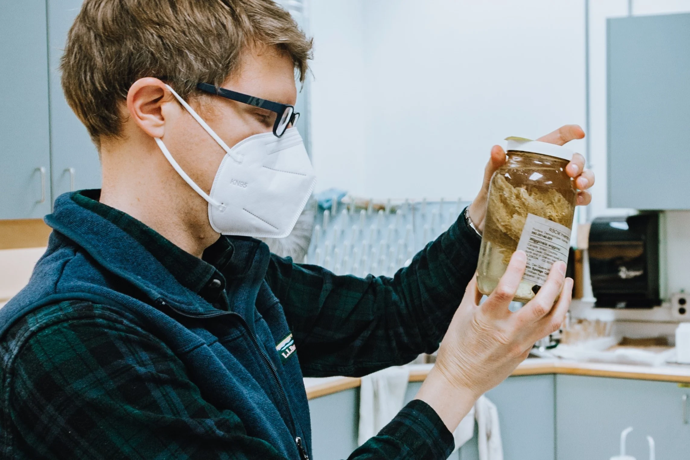 A museum worker examines a specimen in the jar. He is wearing glasses and a white face mask, stands in a laboratory.