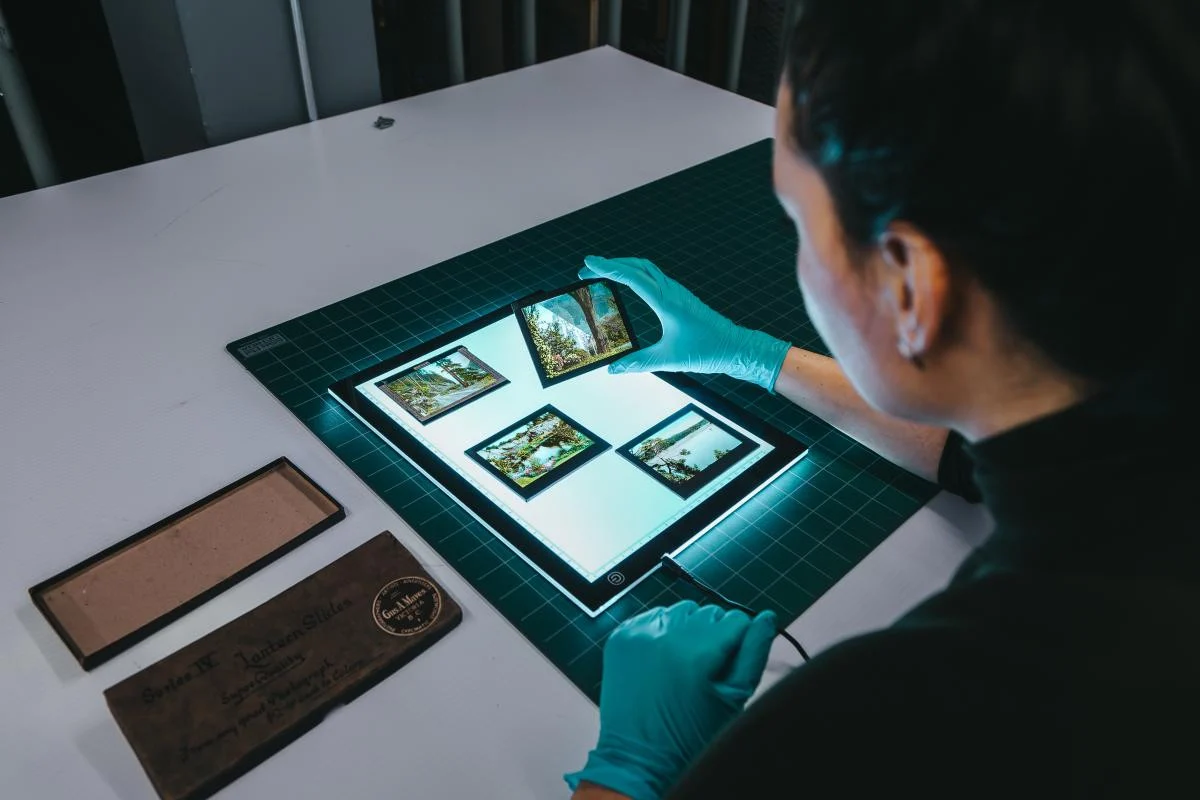 A museum worker examining photo slides on an illuminated tablet. Shot from behind, they are wearing disposable gloves and holding up one slide with a landscape scene. Three other slides of similar settings sit atop the tablet. On the table is a large cutting mat and a narrow cardboard storage box.