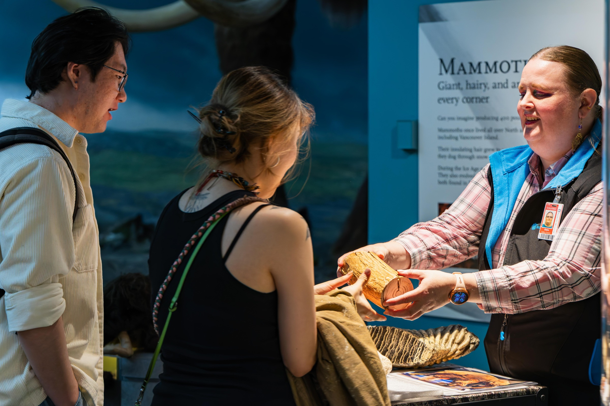 Interactive station at the museum. A museum staff member, wearing a nametag and vest, holds out a small log for a female visitor to feel. She has blond hair in a bun, and is wearing a black tank top and cross-body purse. Behind her listening in is a male visitor with dark hair, glasses and a backpack over his white shirt. On the table separating the staff member is a textured, fossil-like object. Behind them, almost out of view is a display of a wooly mammoth.