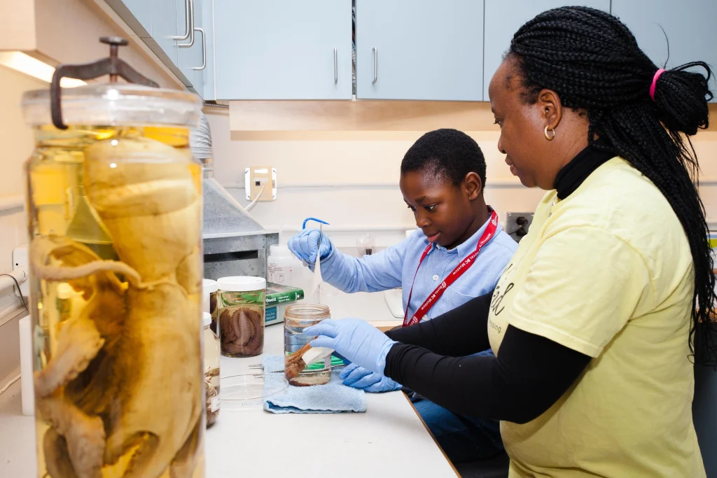 Two people in a science lab, conducting experiments. In the middle is a young boy wearing a lanyard and disposable gloves, putting an object into a jar filled with liquid. On the right is a woman with long thin braids tied back, wearing disposable gloves and holding another object. In front of them are jars with preserved invertebrates floating in them.