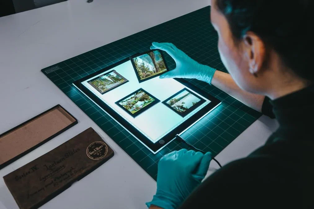 A museum worker examining photo slides on an illuminated tablet. Shot from behind, they are wearing disposable gloves and holding up one slide with a landscape scene. Three other slides of similar settings sit atop the tablet. On the table is a large cutting mat and a narrow cardboard storage box.