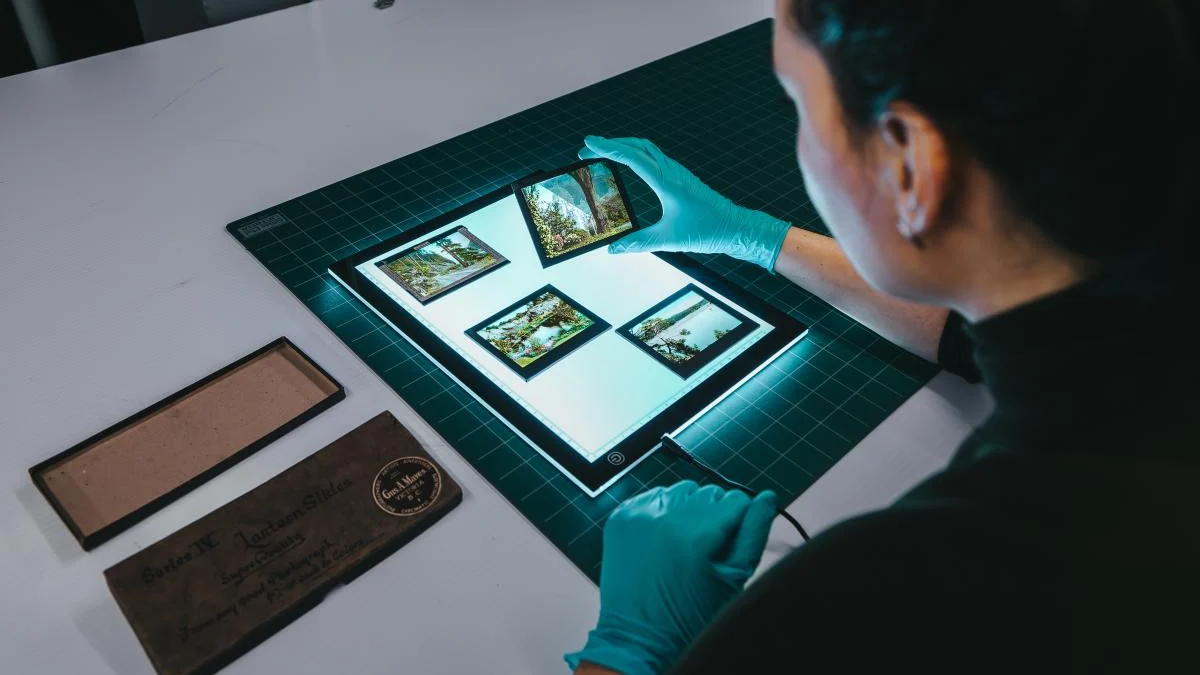 A museum worker examining photo slides on an illuminated tablet. Shot from behind, they are wearing disposable gloves and holding up one slide with a landscape scene. Three other slides of similar settings sit atop the tablet. On the table is a large cutting mat and a narrow cardboard storage box.